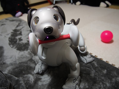 WordPressのスラッグからURLを返すショートコードを作った。