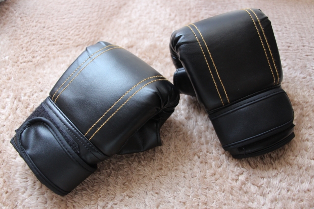 フィットボクシングで痩せるか(1か月)